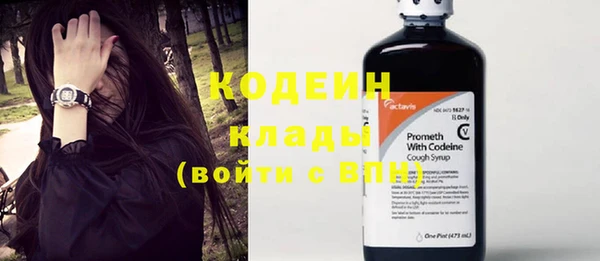 хмурый Кодинск