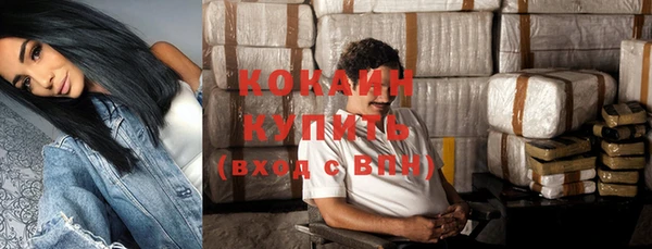 PSILOCYBIN Костерёво