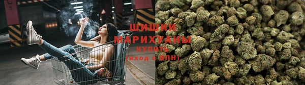 PSILOCYBIN Костерёво