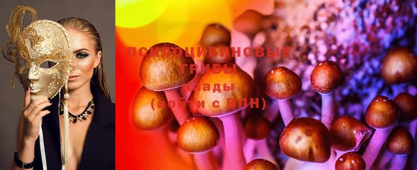 PSILOCYBIN Костерёво