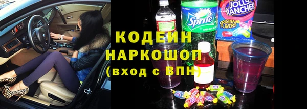 хмурый Кодинск