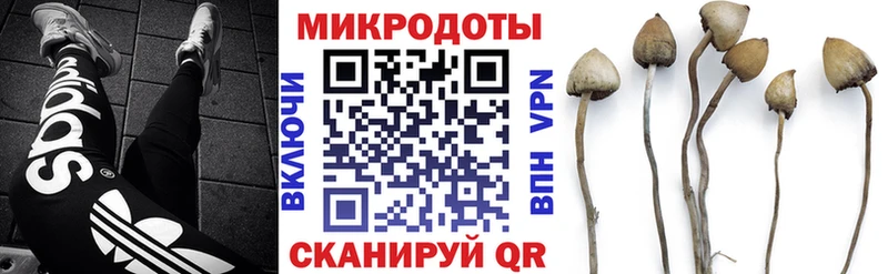 купить   Монино  Псилоцибиновые грибы Cubensis 