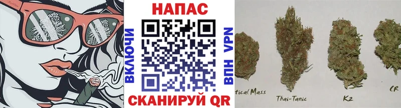 Конопля сатива  Монино 